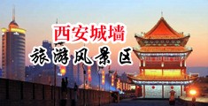 美女骚逼奖励网站中国陕西-西安城墙旅游风景区